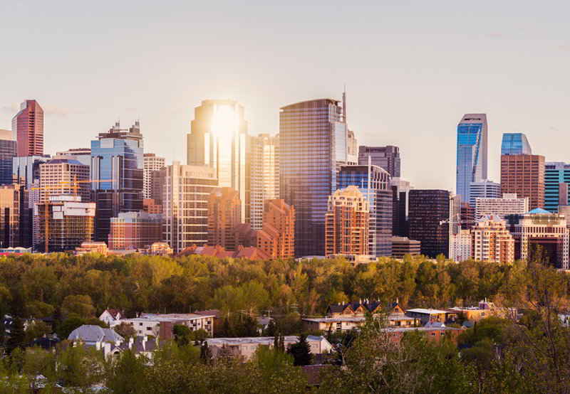 Alberta liquor and cannabis consulting