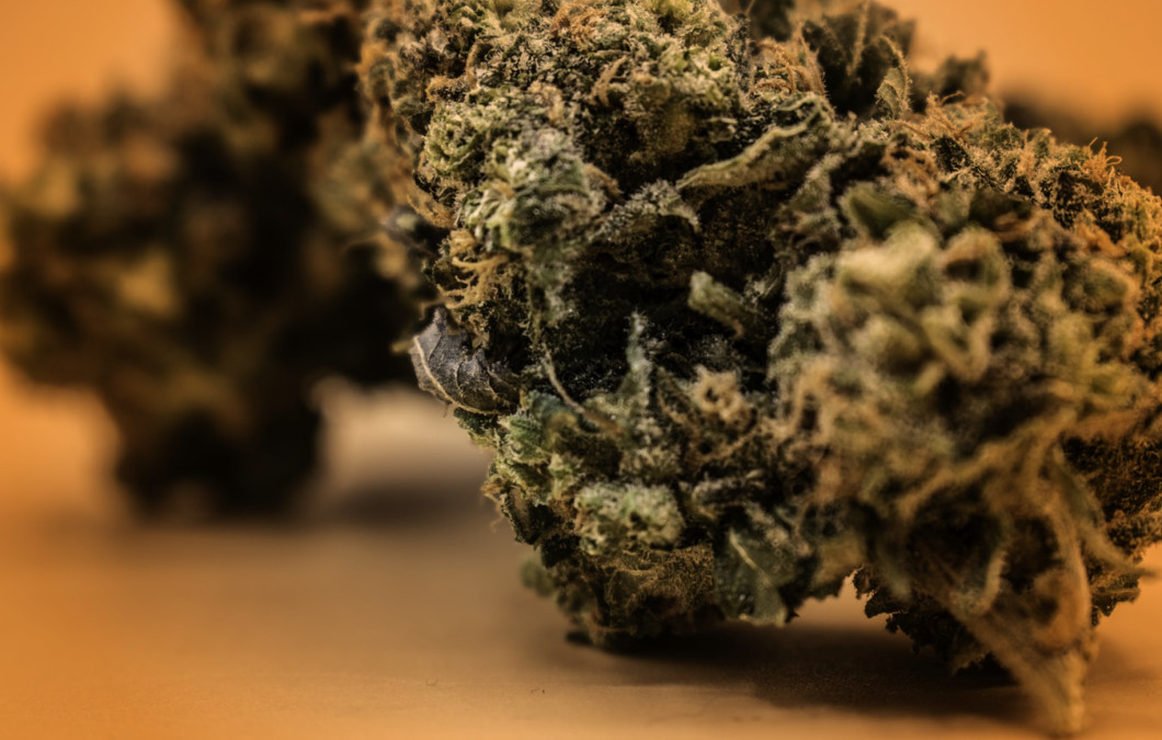 Cannabis buds