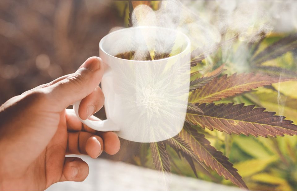 Cannabis Consumption Spaces in BC