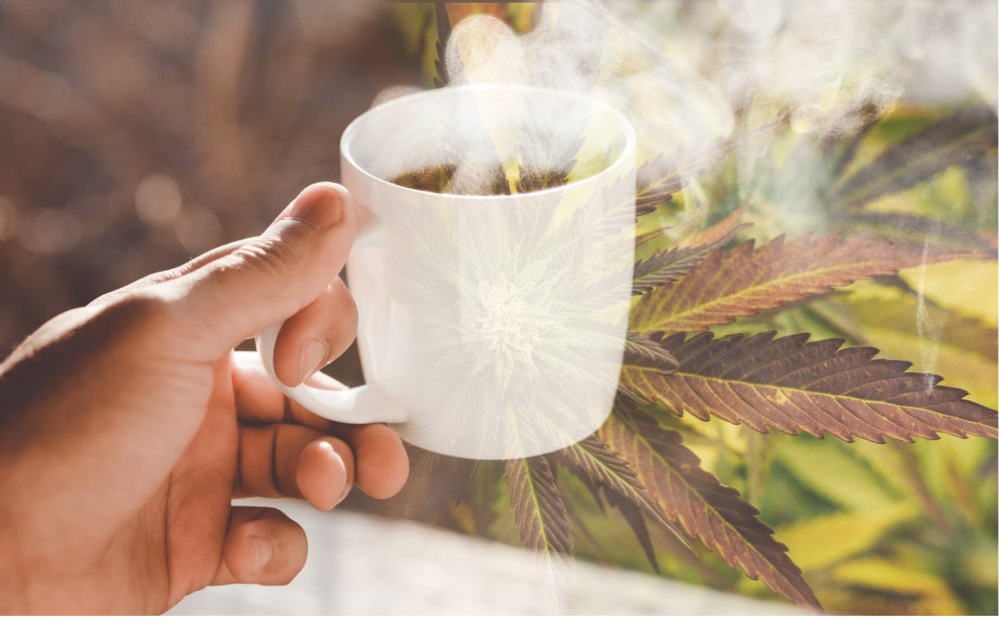 Cannabis Consumption Spaces in BC