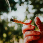 LCRB Bulleting 24-01: Cannabis-friendly spaces an promotion